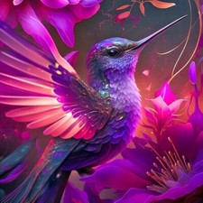 Wunderschöner Kolibri auf