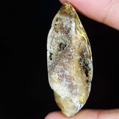 Natürlich fossil schnecke - fossil,