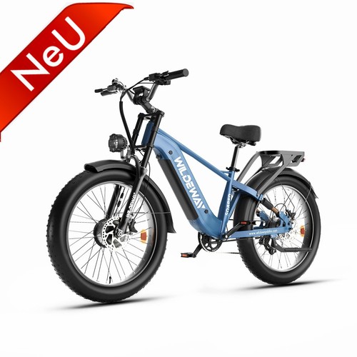 2000w dual motor ebike zoll - 2000w,
