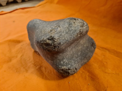 Fossil versteinerter knochen - versteinerter,