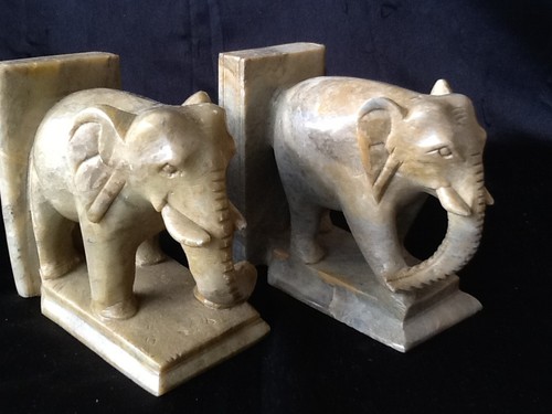 Elefanten elefant paar - elefanten,