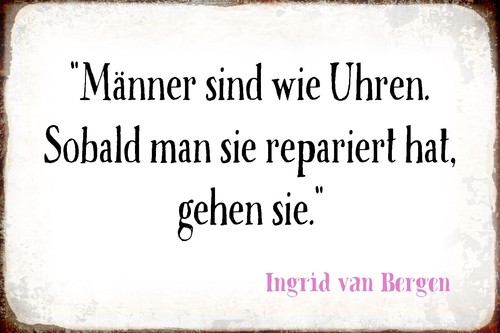 Blechschild 20x30 männer sind - 20x30,