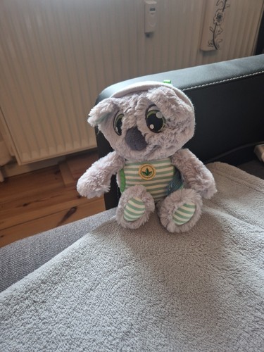 Nici schlafmützen koala - nici,