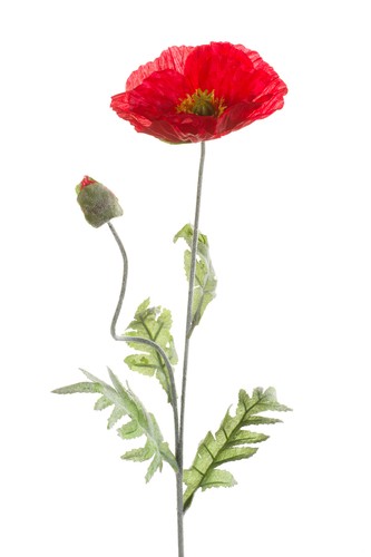 Künstliche mohnblume mit - mohnblume,