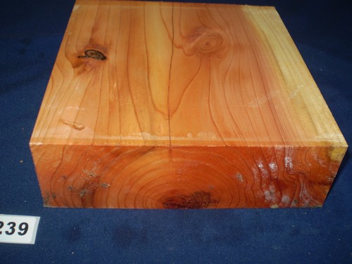 Thuja drechselholz drechseln - ,