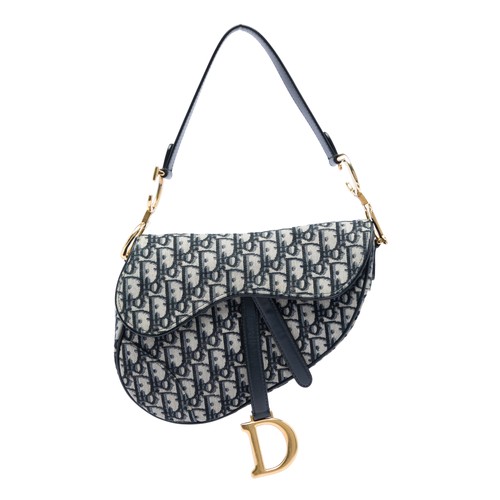 Dior oblique canvas - oblique, saddle