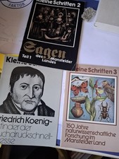 Mansfelder Land, Eisleben