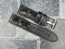 22mm Giant ALLIGATOR HORNBACK