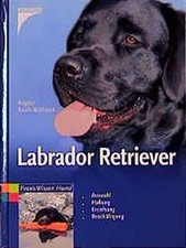 Labrador Retriever. Auswahl