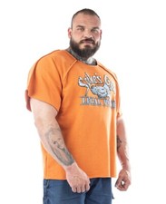 Legal Power Raglan Rag Top