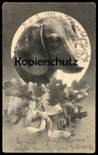 ALTE POSTKARTE DACKEL EICHENLAUB EICHELN EICHE HUND Dachshund Teckel basset dog 