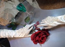 HOCHZEIT BRAUT HANDSCHUH STICKEREI FINGERLOS CREME BRAUTHANDSCHUH KARNEVAL NEU 