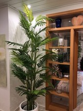 Künstliche Palme,  neu,  2,10m hoch