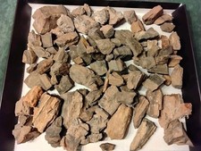 Versteinertes Holz Über 4 Kg