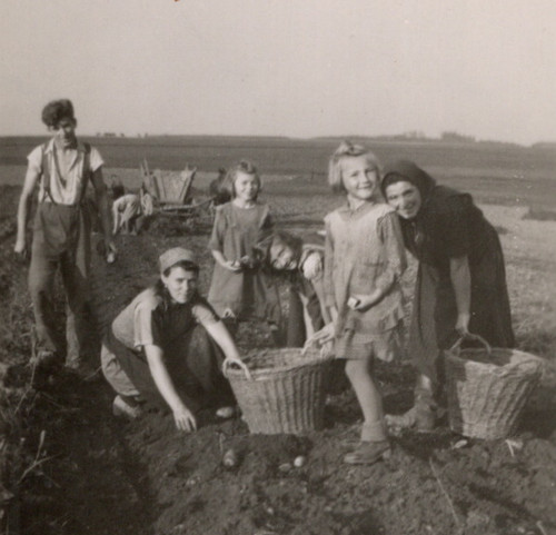 1136 foto alte zeiten - alte,