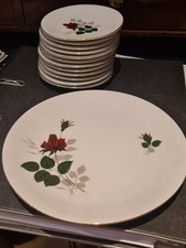 Seltmann Weiden Bavaria  12 Kleine Keksteller Und 1 Grösserer Teller Rosenmotiv