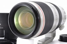 Canon EF 100-400mm f/4.5-5.6 L