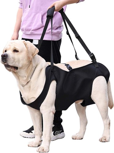 Hundeliftgeschirr hunde - hundeliftgeschirr,
