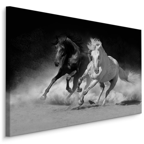 Canvas leinwand bilder - canvas, xxl