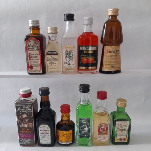 Miniatur schnapsflaschen - miniatur,