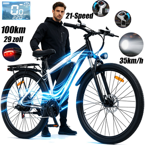 Zoll elektrofahrrad - 29,