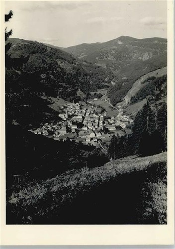 50593229 7868 todtnau - -,