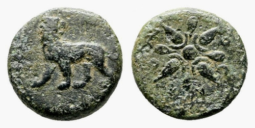 Ionia miletos 377 - um, v