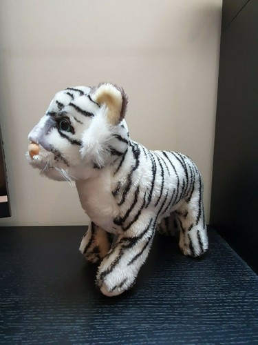 Weißer tiger von - von, der