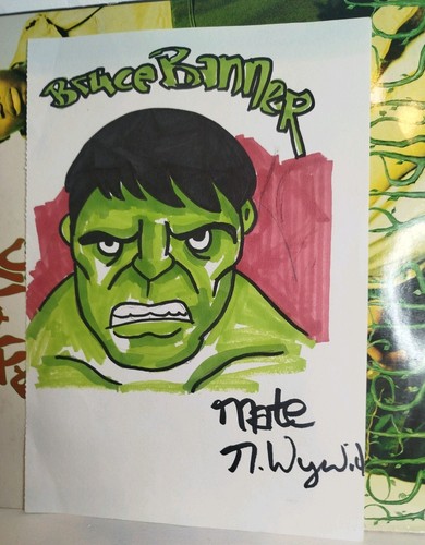 Hulk bruce banner portrait - hulk,