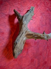 aquarium holz wurzel xl