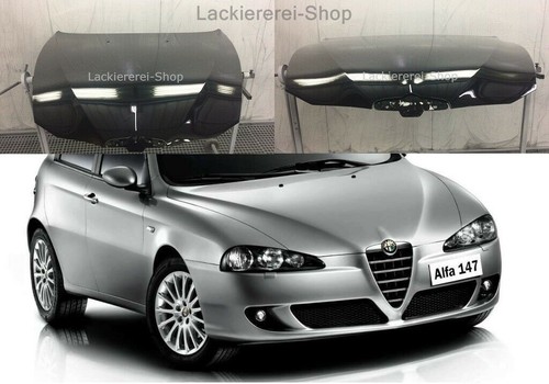 Motorhaube lackiert - motorhaube,