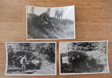 Alte fotos wehrmacht - alte,