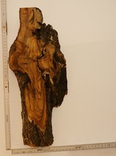 Olivenholz Epoxid Holz 5,6cm