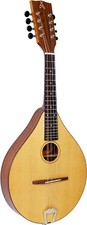 Ashbury style mandolin - ashbury, style-e