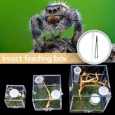 Springspinne Lebensraum Brutbox Käfige für Spinne Neu] Insekt klein U9J2