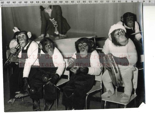Original pressefoto - original,