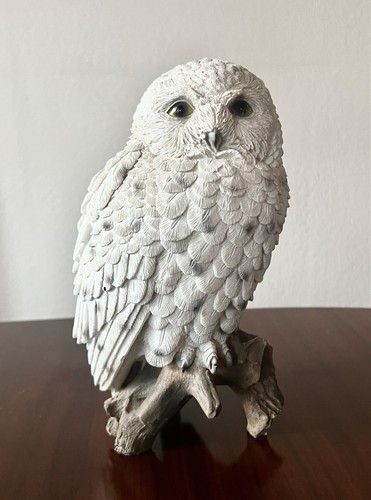 Vogel schneeeule auf ast - auf,