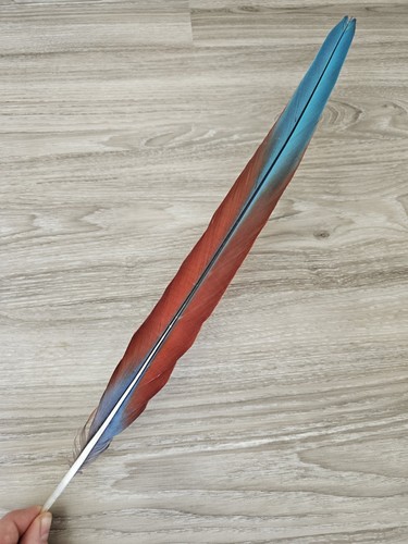 Feder - 46,5, cm