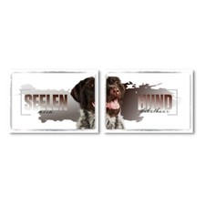 Deutsch Drahthaar Seelenhund