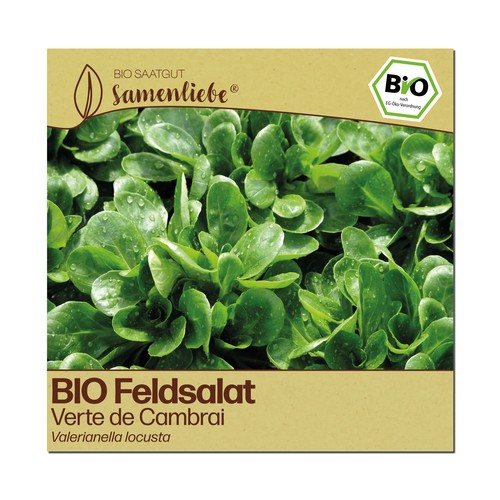 Bio salat samen - bio, verte