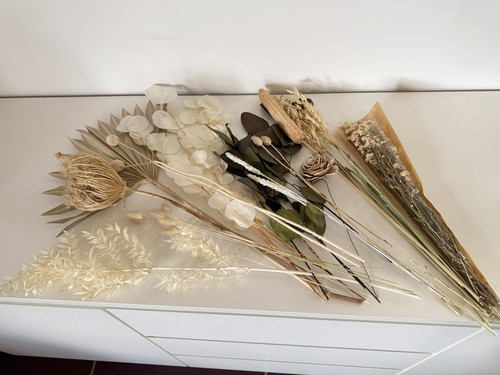 Trockenblumen box konvolut - trockenblumen,
