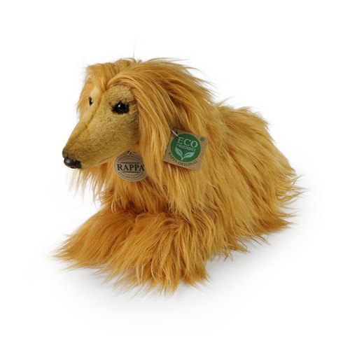 Afghanischer windhund braun - afghanischer,