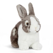 Hase kaninchen grau - hase, grau/weiß