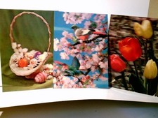 Nostalgie / Vintage. 3 D - Karten. Frühlingsgrüße. 3 x Alte Ansichtskarte / Post