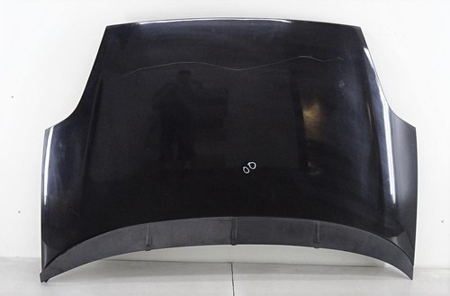 Fiat punto evo - punto, motorhaube