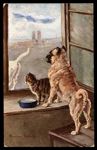 Mops hund - carlin,