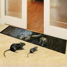Mausefallen ratte mäuse - ratte,