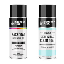 Custom 2k Paint Kit For