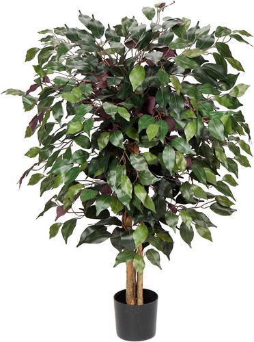 Kunstbaum ficus benjamini - kunstbaum,