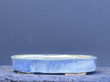 Bonsai Shohin Bonsaischale